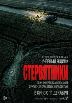 Стервятники